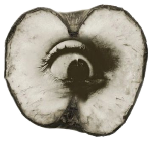 Eye in Apple Collage Sticker