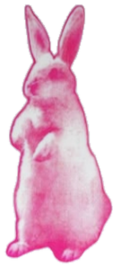 Astrological Totem Card